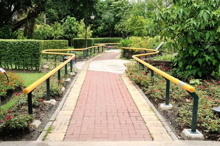 Pathway in a Peaceful Green Park 