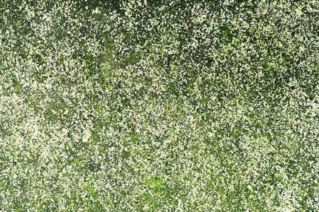 Abstract cement Background