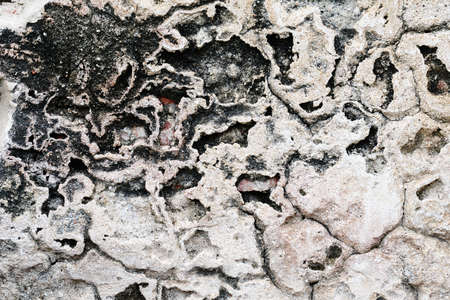 Rough Stucco Backgroundの写真素材