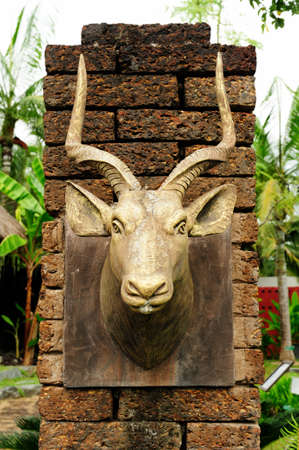 golden deer headの写真素材