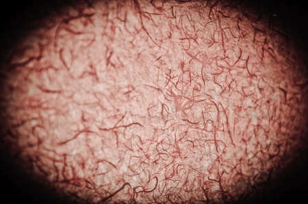 red grunge texture  の写真素材