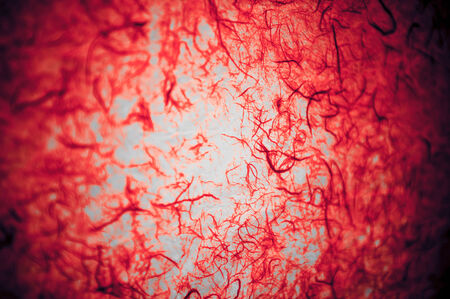 red bloody texture backroung