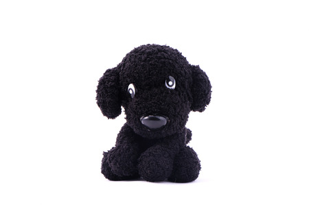 black dog knitting dollの写真素材