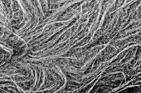 black Fur texture. Abstract backgroundsの写真素材