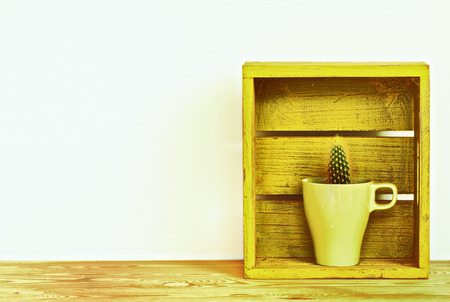 cactus plants in flowerpot  vintage stlyeの写真素材