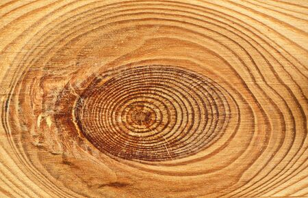 Wood texture close-up background.の写真素材