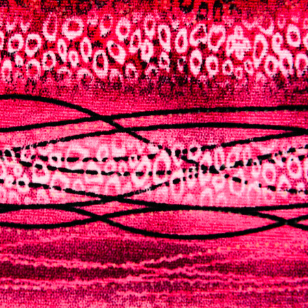 texture of print fabric striped leopard for backgroundの写真素材