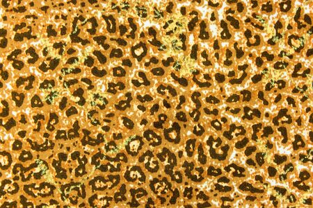 Background of textile texture brick