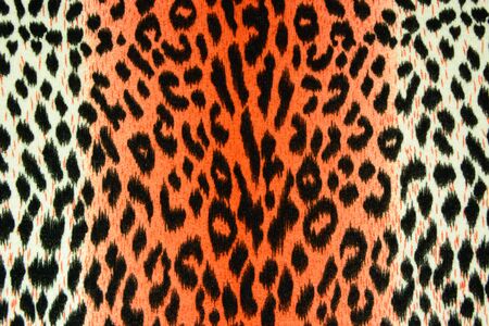 texture of print fabric stripes leopard for backgroundの写真素材