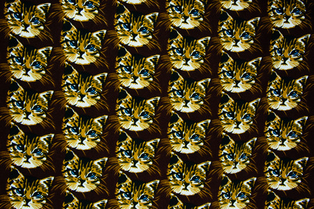 Texture fabric cat headの写真素材