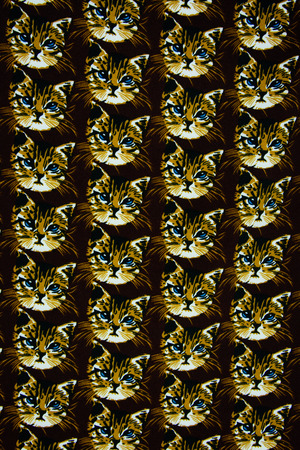 Texture fabric cat headの写真素材