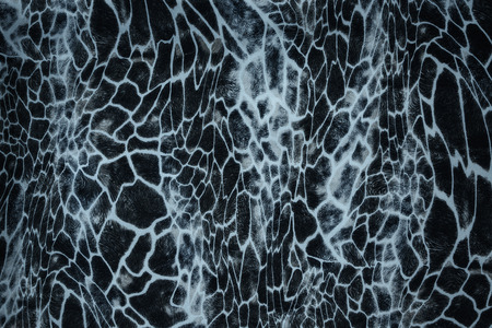 texture of print fabric striped zebra and leopard for backgroundの写真素材