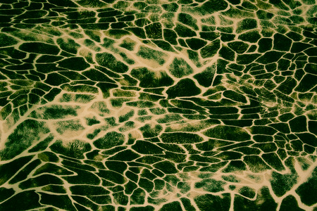 texture of print fabric striped zebra and leopard for backgroundの写真素材