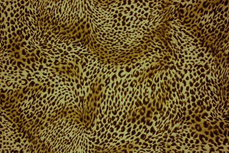 texture of print fabric striped leopard for background