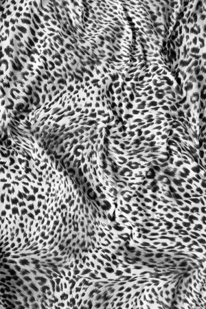 Tiger textile piece of clothesの写真素材