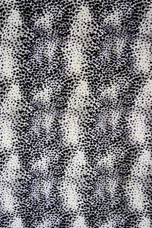texture fabric of Jaguar black and white for backgroundの写真素材