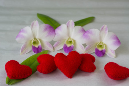 orchid flower and red hearts