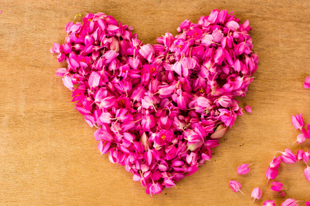 Place a small flower pink, heart-shapedの写真素材