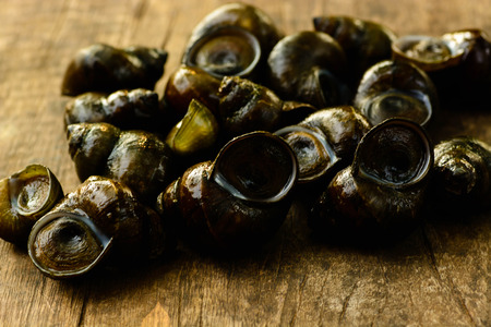 periwinkles on old wooden backgroundの写真素材