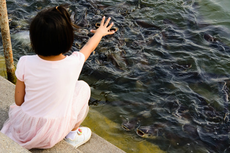 girl in pink clothes feeding fishes in a garden pondの写真素材