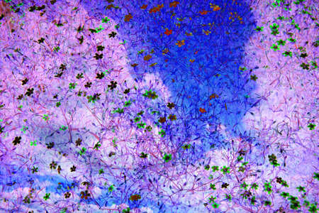 white fluffy clouds in the blue skyの写真素材