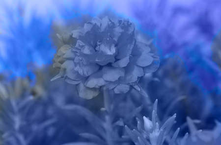 Blue sky and white clouds.の写真素材