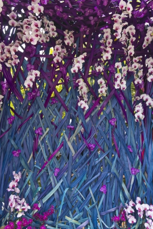 Arch of flowers by orchids for backgroundの写真素材