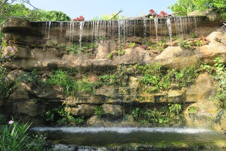 nature viewの写真素材