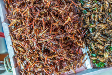 Bangkok, Thailand - Nov 14, 2015 Fried insects as snack for sell at Chatuchak, the biggest weekend market in South East Asia.のeditorial素材