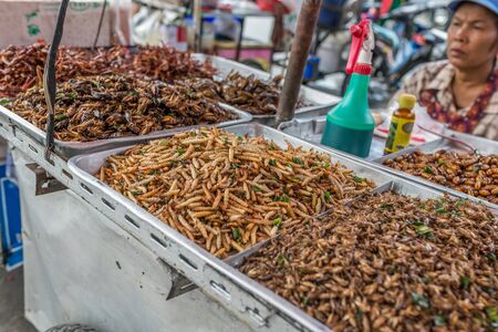 Bangkok, Thailand - Nov 14, 2015 Fried insects as snack for sell at Chatuchak, the biggest weekend market in South East Asia.のeditorial素材