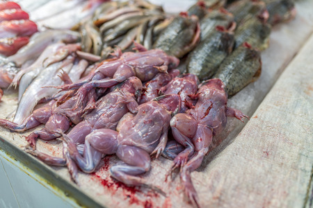 Bangkok, Thailand - Nov 14, 2015 Frogs  for sell as food at Or Tor Kor market, a well known place for fresh food, fruits and foods. Located next to Jatujak market.のeditorial素材