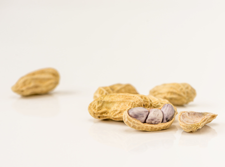 Peanut in macro shot in studio