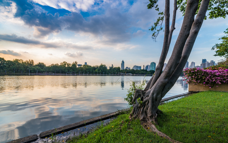 Bangkok, Thailand - Nov 26, 2016 Benjakitti Park is the beautiful public park with a nice pond in the centre. Visit by taking MRT to Queen Sirikit Stationの写真素材