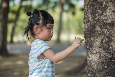 Thai little girl with 3.6 years old in a parkの写真素材