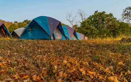 Row of tent in camping. Low angle view of tent camping.の写真素材