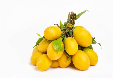 Isolated fruit on white background, Thailand fruit name is Mayongchit or sweet yellow Marian plum in...