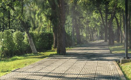 Perspective pathway in public park of Thailand. Day time image of park with big trees, light beam in morning. Square grid pattern on ground route. Warm tone image and ray.の写真素材