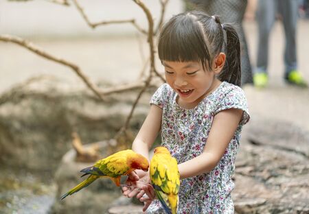 Asian Child is feeding birds or Sun conure bird in open zoo, Sun conure birds holding in both hand, eating sunflower seeds. Child emotion is fun, happy and excite. Girl with black hair tie and bang.の写真素材