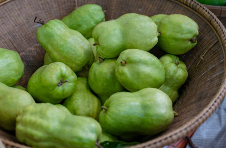 Close up fresh Guavas in wicker basket that Thai fruit gardener put for sale. Fresh organic pile of Guavas in wicker basket.の写真素材