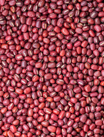 Close up the small type of red beans, vertical image. Fill the vertical frame with small red beans.の写真素材