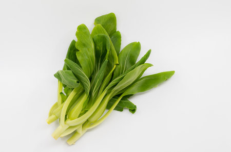 Small group young fresh Pak Chai or Green Pakchoi or Bok Choy, flat lay organic vegetable, the isolated image on white background.の写真素材
