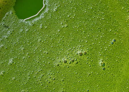 Macro the Matcha hot green tea, surface of hot Matcha green tea, fill the frame with the bubbles...