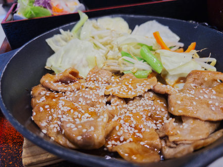 Close-up Japanese food, stir-fried pork slice with soy sauce over rice with salad, natural light.の写真素材