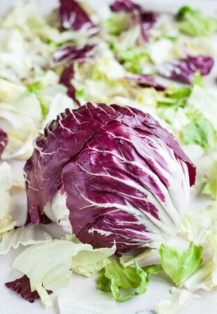 Radicchio red salad on fresh leaves backgroundの写真素材