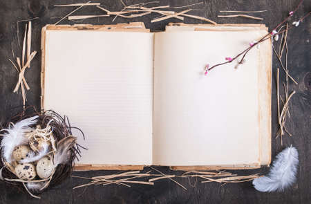 Easter eggs decoration. Eggs on rustic blank bookの写真素材