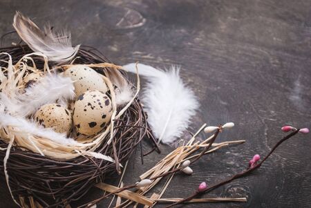 Easter eggs decoration. Eggs on wooden backgroundの写真素材