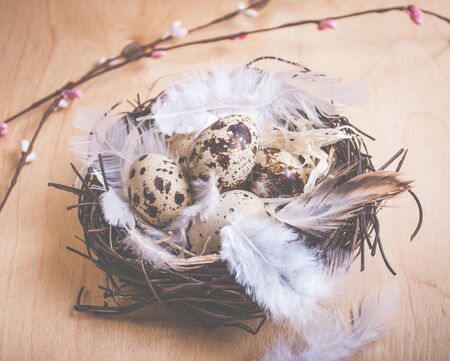 Easter eggs decoration. Eggs and flowers on wooden backgroundの写真素材