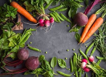 Fresh vegetables on rustic concrete background. Carrot, beet, radish, green pea, herbs. Harvest/gardening concept. Healthy food. Vegetarianism. Clean eating. Space for text. Making salad ingredientsの写真素材