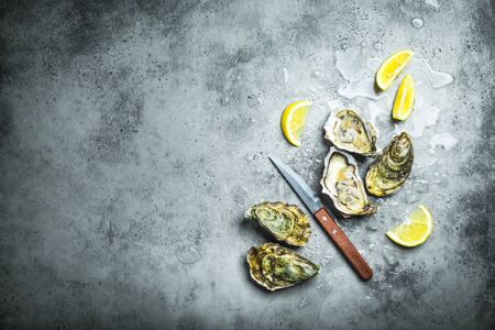Fresh oysters on ice, knife, lemon wedges. Rustic stone background. Opened fresh raw oysters. Top view. Copy space. Oyster bar. Seafood. Oysters concept. Party food. Space for text. From above の写真素材