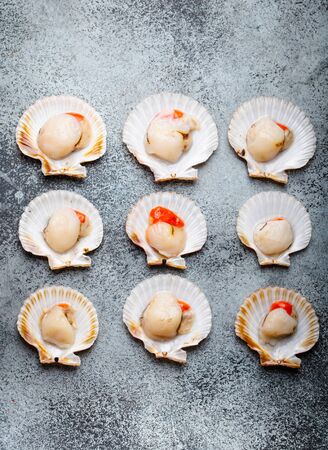 Raw fresh uncooked scallops in shells on grey rustic concrete background, top view, close-up. Seafood concept patternの写真素材